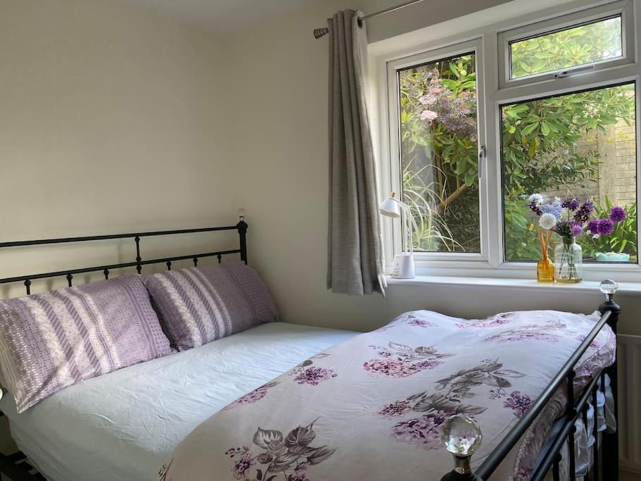 Cosy Apartment With Private Access And Kitchenette In Guildford (Adults Only) Worplesdon Luaran gambar